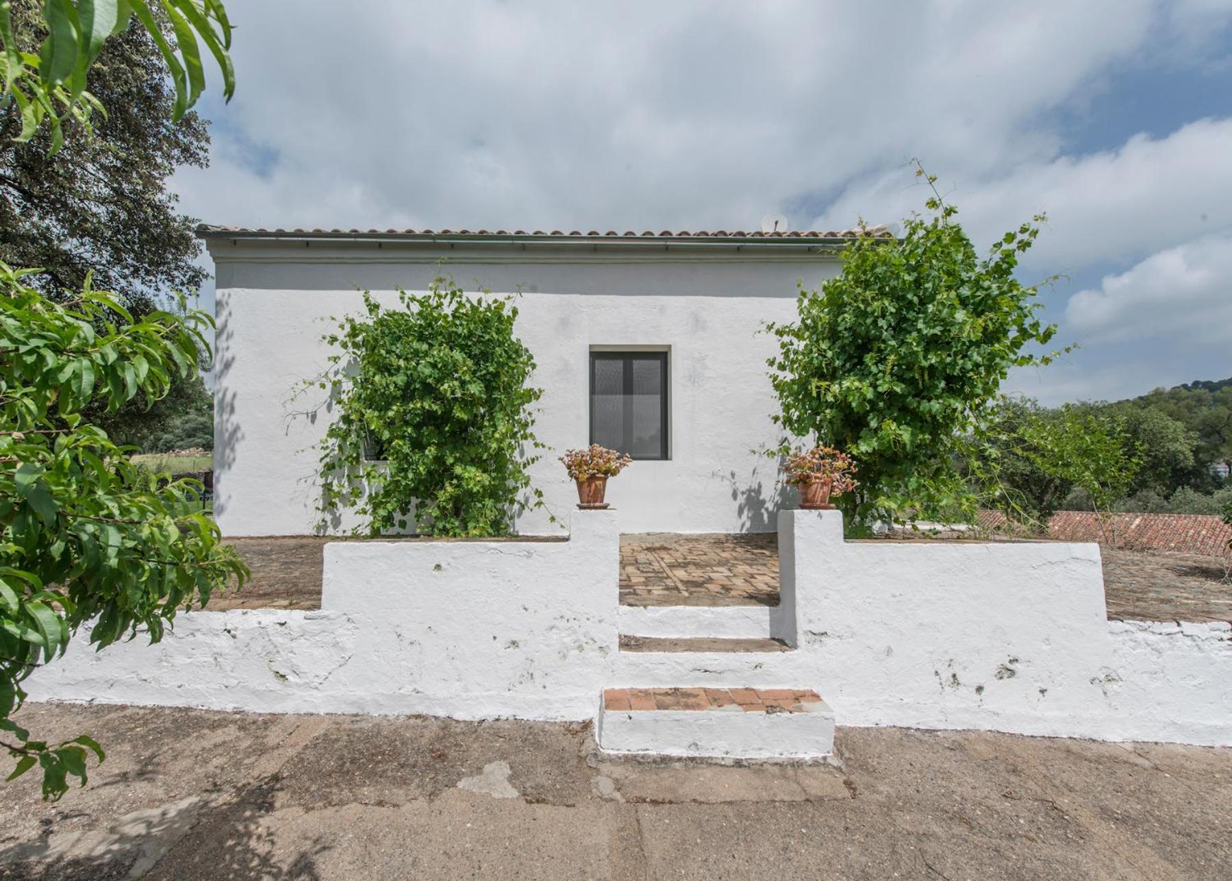 La Umbria De La Ribera Guest House El Pedroso Ngoại thất bức ảnh