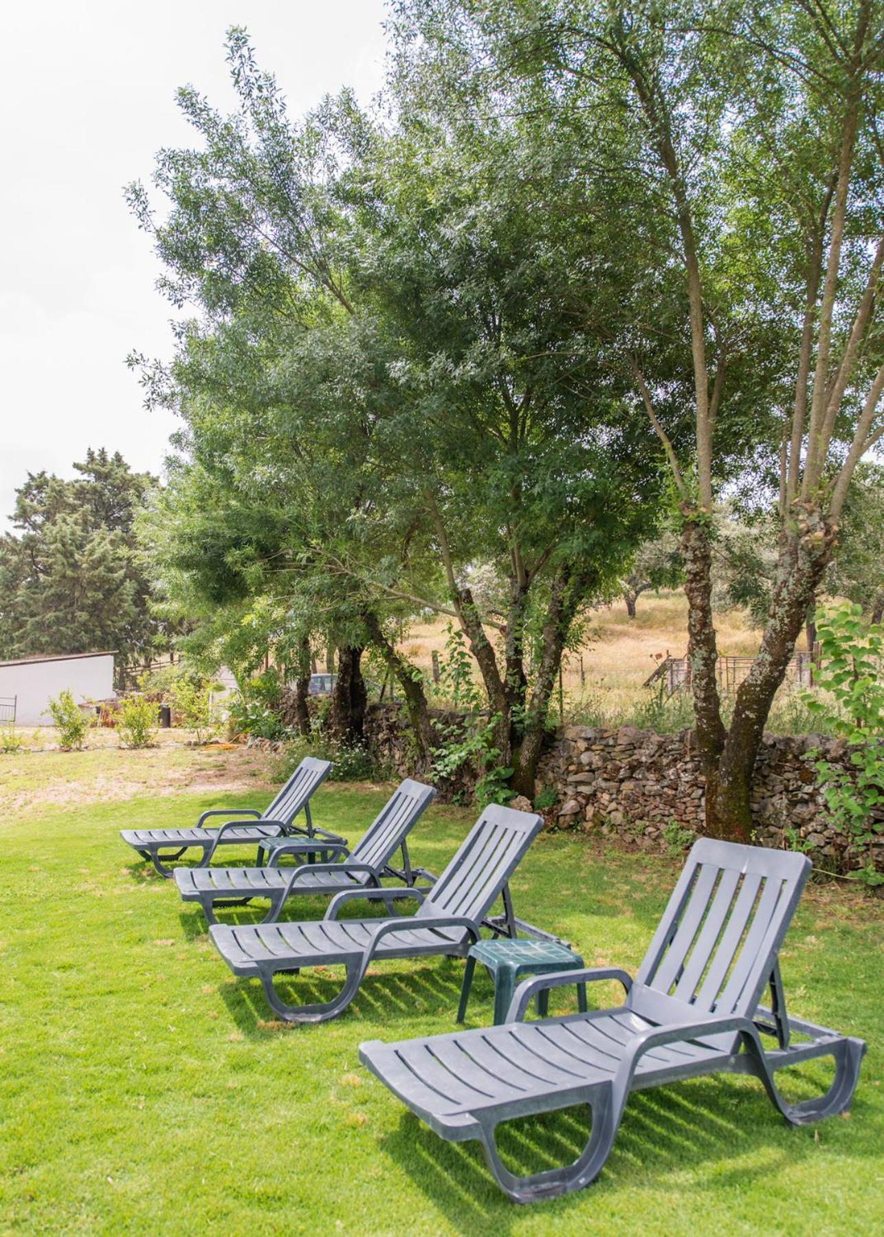 La Umbria De La Ribera Guest House El Pedroso Ngoại thất bức ảnh