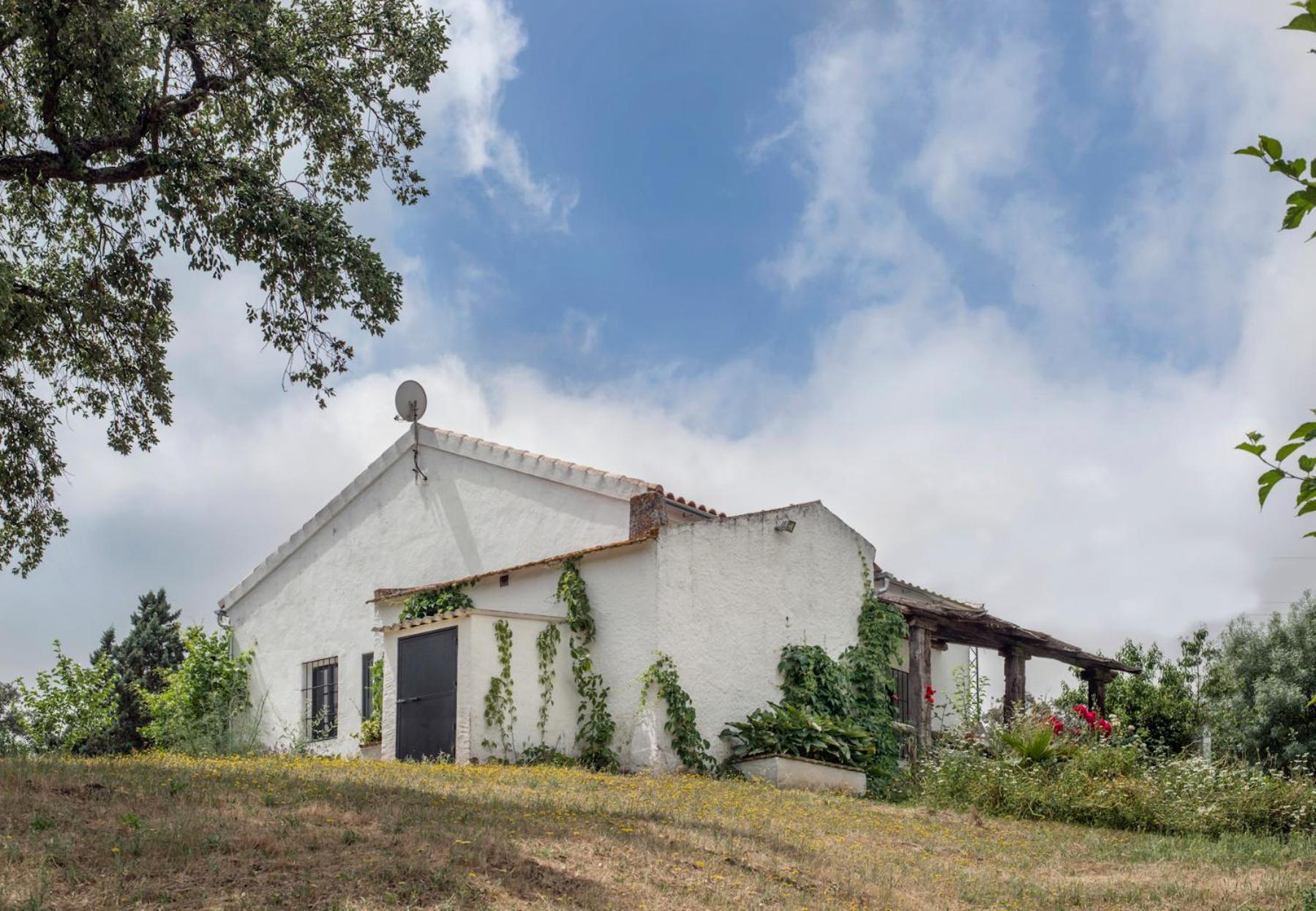 La Umbria De La Ribera Guest House El Pedroso Ngoại thất bức ảnh