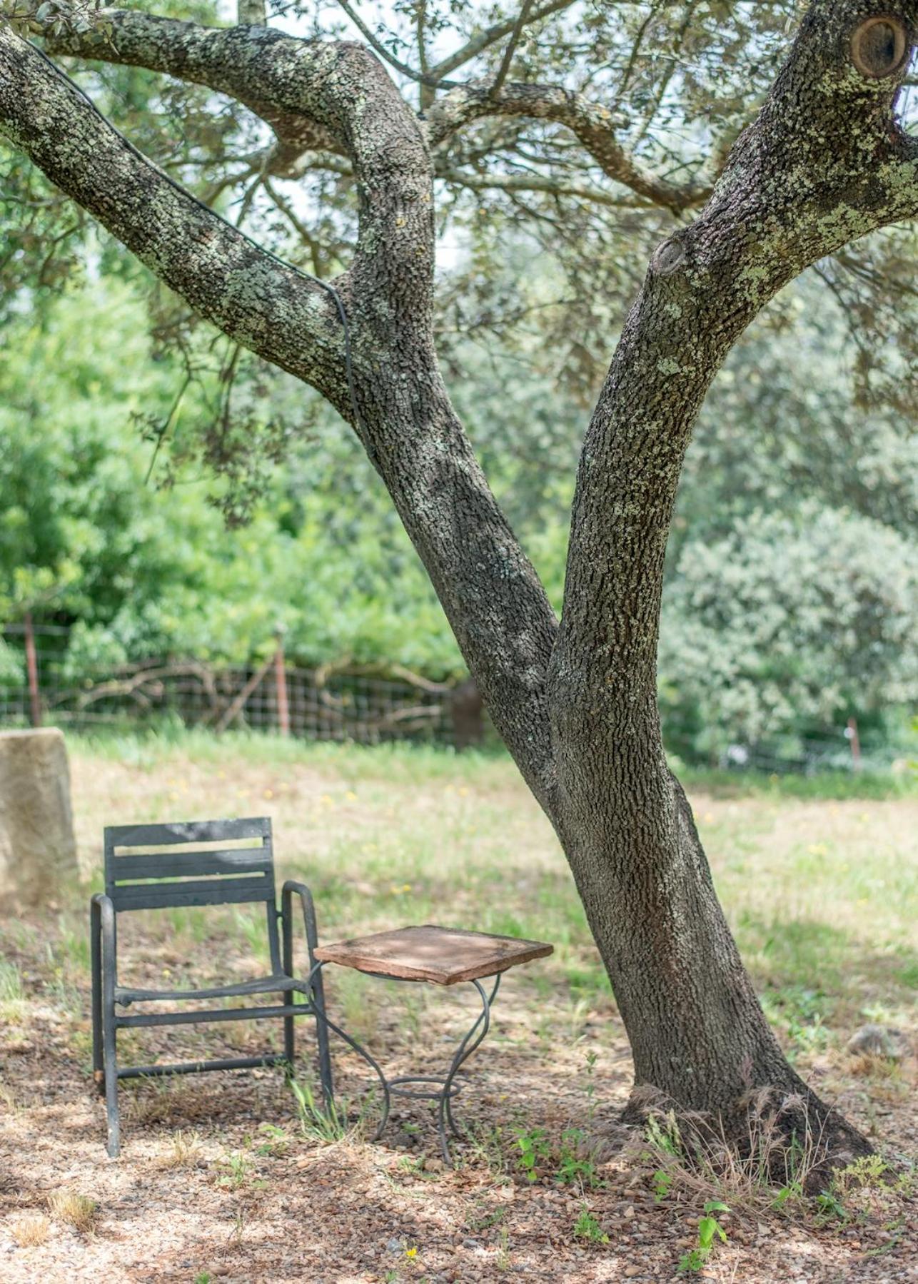 La Umbria De La Ribera Guest House El Pedroso Ngoại thất bức ảnh