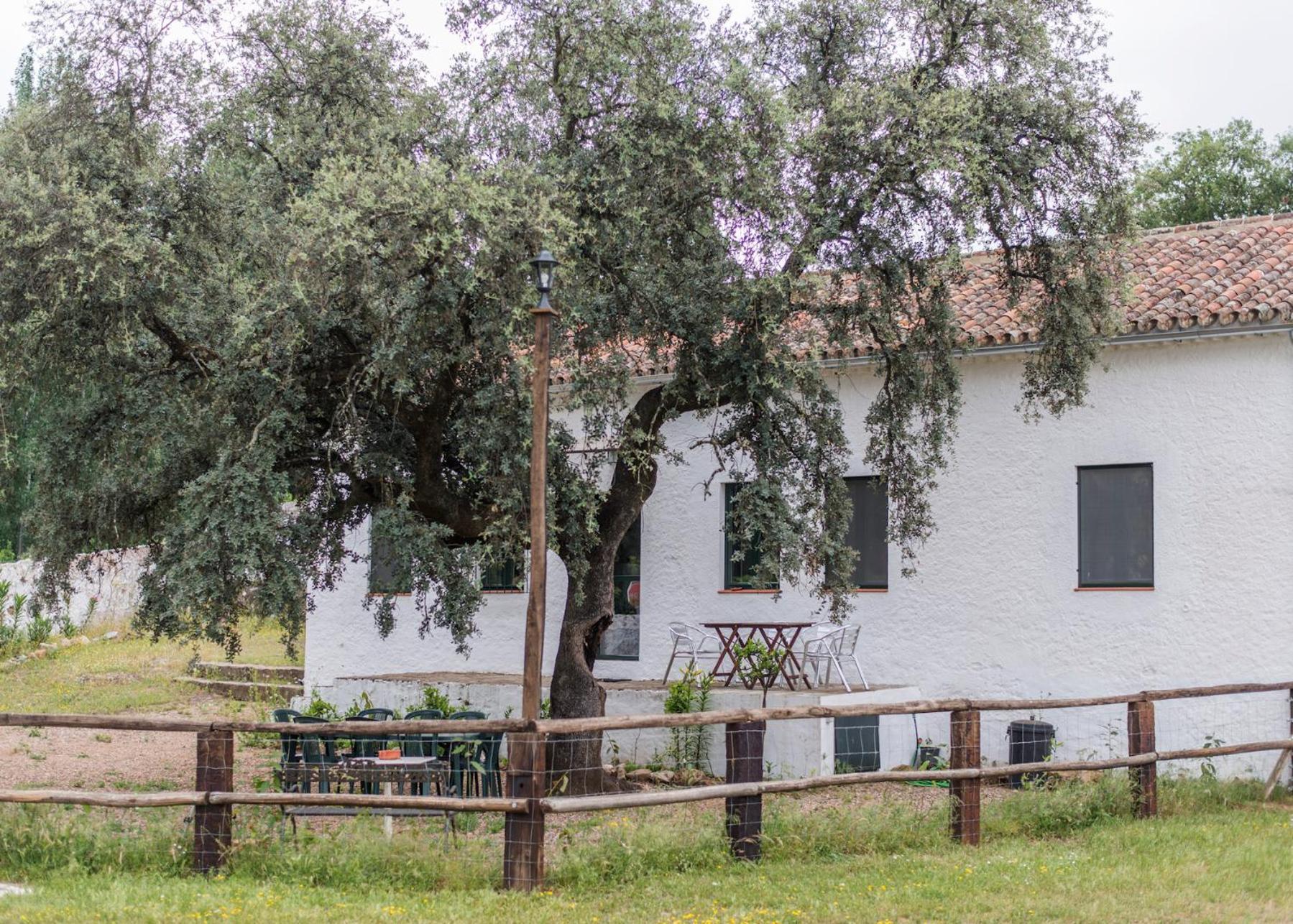La Umbria De La Ribera Guest House El Pedroso Ngoại thất bức ảnh