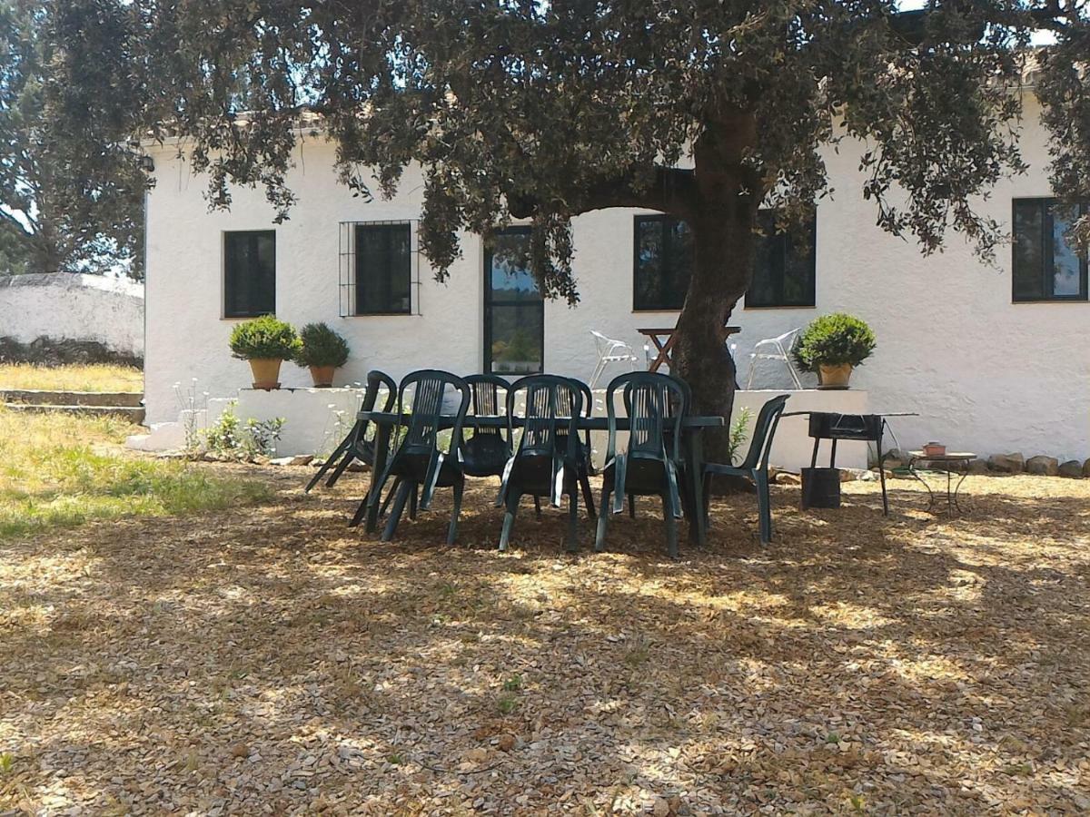 La Umbria De La Ribera Guest House El Pedroso Ngoại thất bức ảnh