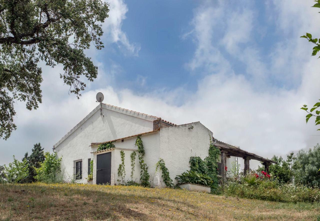 La Umbria De La Ribera Guest House El Pedroso Ngoại thất bức ảnh