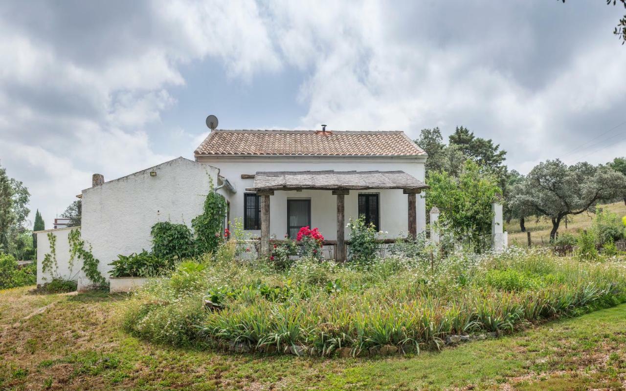 La Umbria De La Ribera Guest House El Pedroso Ngoại thất bức ảnh