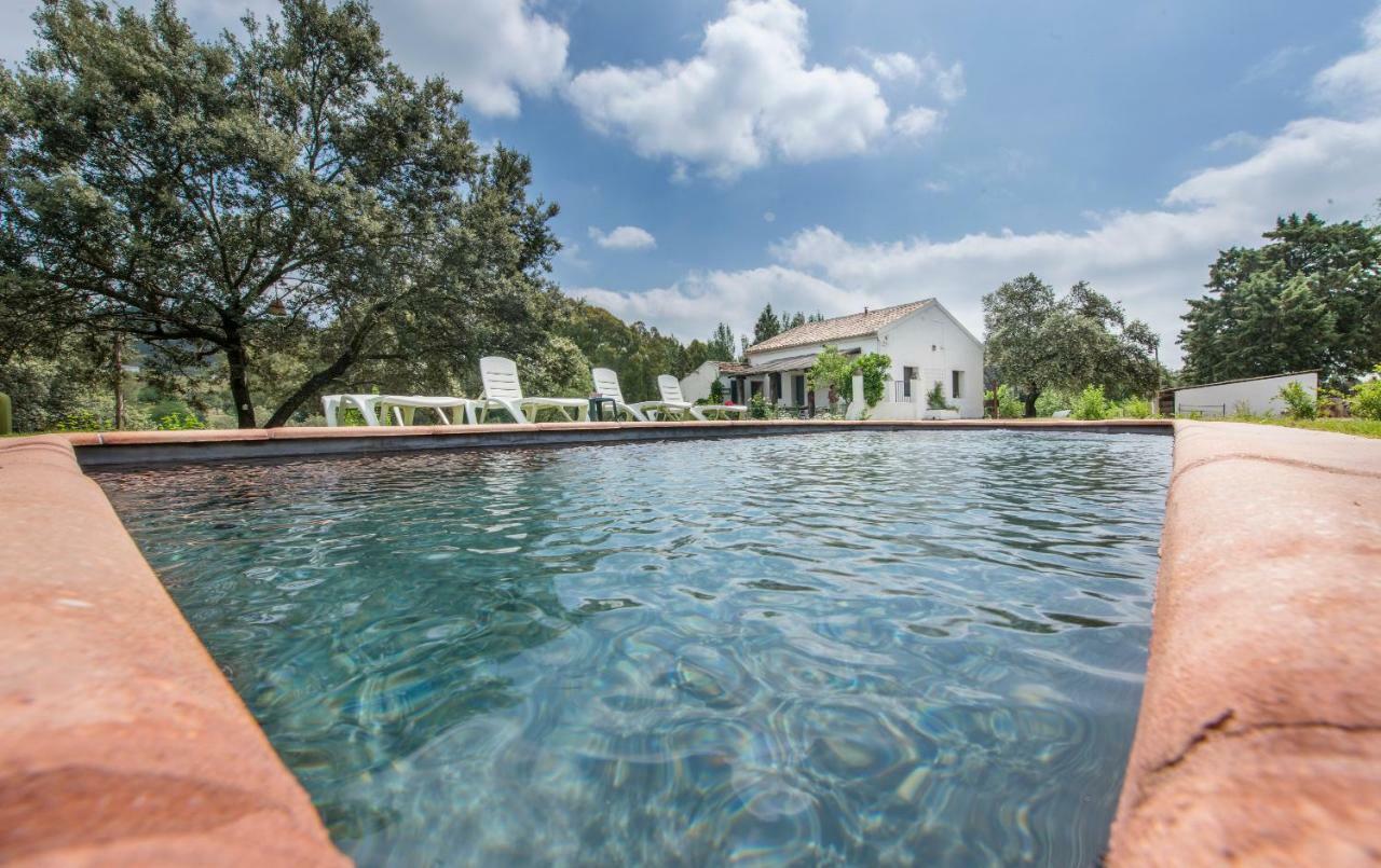 La Umbria De La Ribera Guest House El Pedroso Ngoại thất bức ảnh