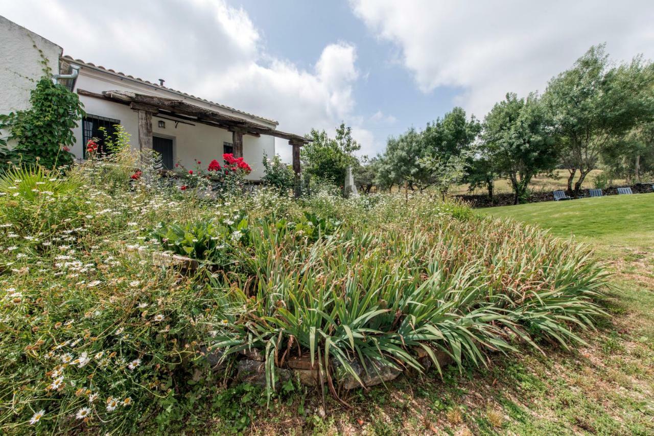 La Umbria De La Ribera Guest House El Pedroso Ngoại thất bức ảnh