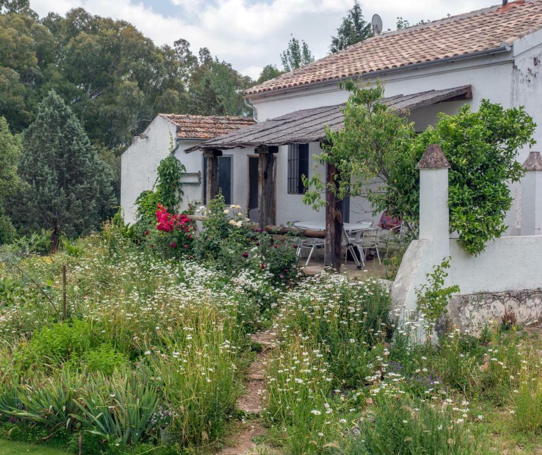La Umbria De La Ribera Guest House El Pedroso Ngoại thất bức ảnh