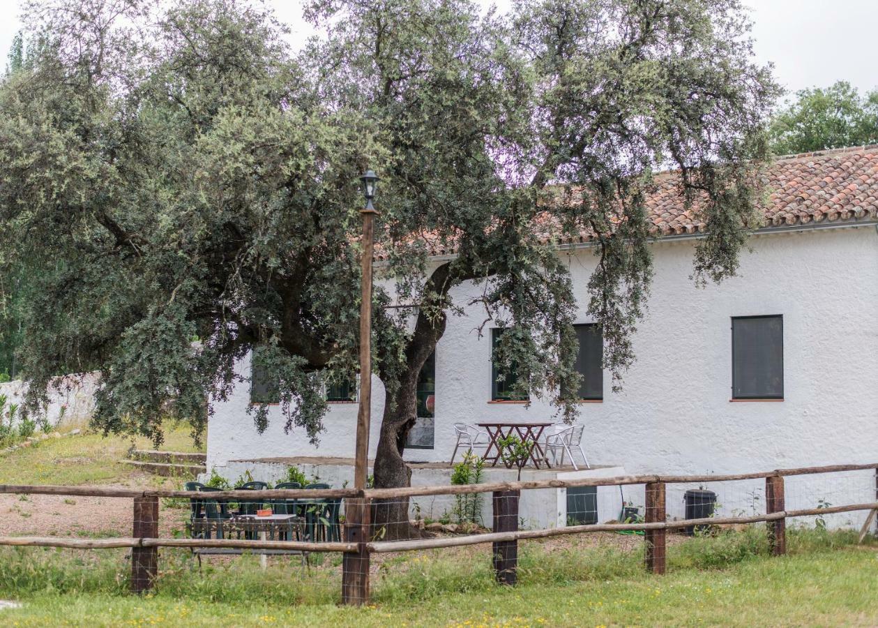 La Umbria De La Ribera Guest House El Pedroso Ngoại thất bức ảnh