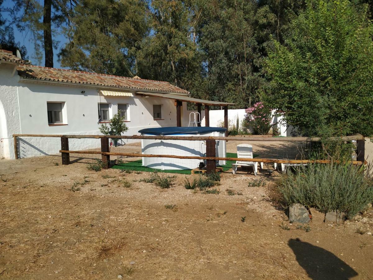 La Umbria De La Ribera Guest House El Pedroso Ngoại thất bức ảnh